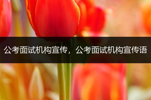 公考面试机构宣传，公考面试机构宣传语