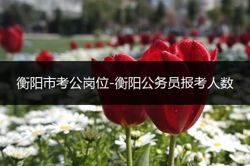 衡阳市考公岗位-衡阳公务员报考人数