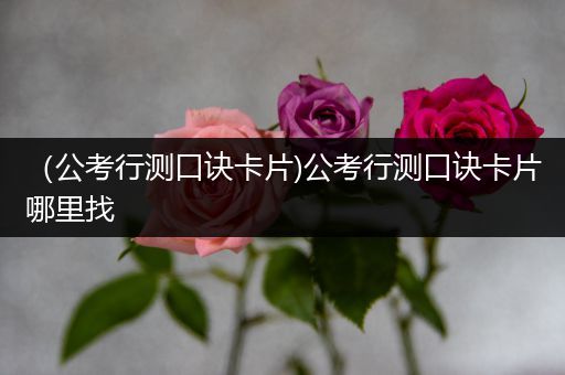 （公考行测口诀卡片)公考行测口诀卡片哪里找