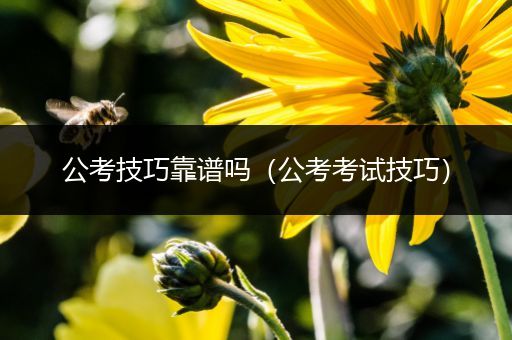 公考技巧靠谱吗（公考考试技巧）