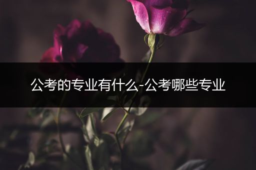 公考的专业有什么-公考哪些专业