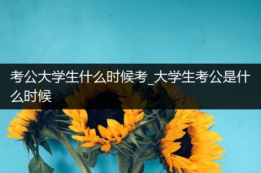 考公大学生什么时候考_大学生考公是什么时候