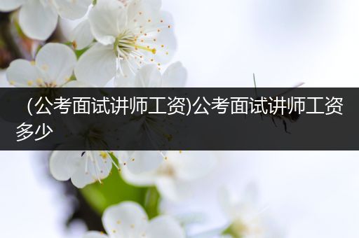 （公考面试讲师工资)公考面试讲师工资多少