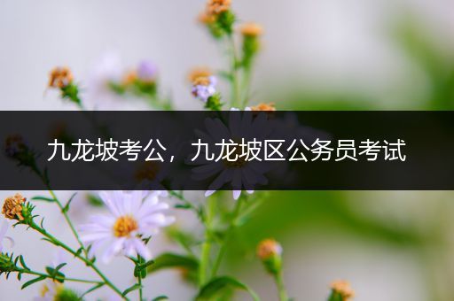 九龙坡考公，九龙坡区公务员考试