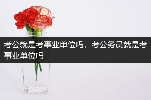 考公就是考事业单位吗，考公务员就是考事业单位吗