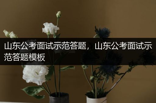 山东公考面试示范答题，山东公考面试示范答题模板