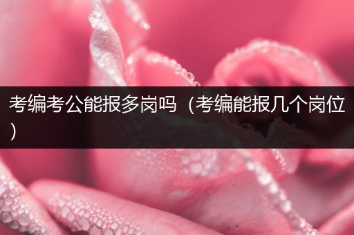 考编考公能报多岗吗（考编能报几个岗位）