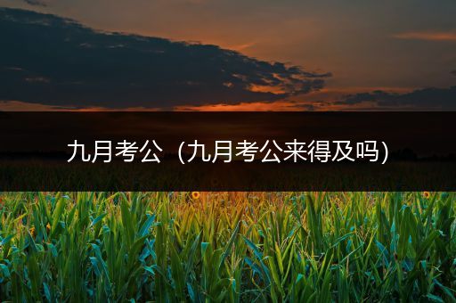 九月考公（九月考公来得及吗）