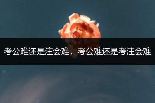 考公难还是注会难，考公难还是考注会难