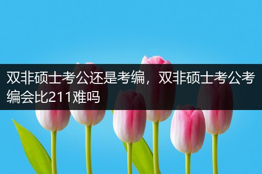 双非硕士考公还是考编，双非硕士考公考编会比211难吗