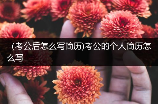 （考公后怎么写简历)考公的个人简历怎么写