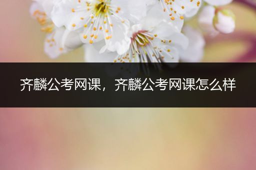 齐麟公考网课，齐麟公考网课怎么样