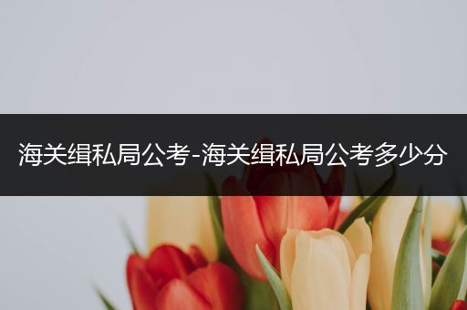 海关缉私局公考-海关缉私局公考多少分
