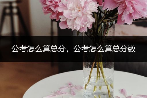 公考怎么算总分，公考怎么算总分数