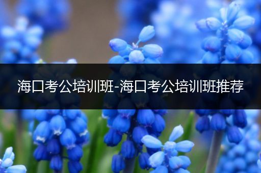 海口考公培训班-海口考公培训班推荐