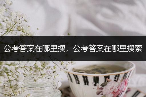 公考答案在哪里搜，公考答案在哪里搜索