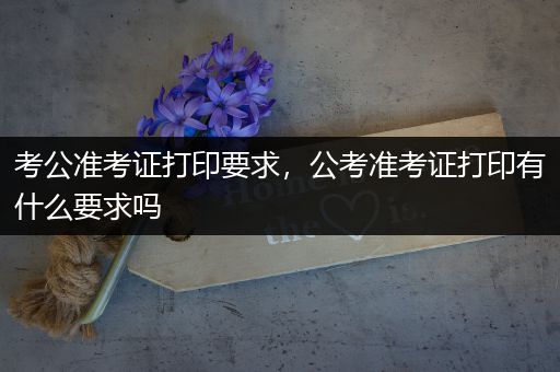 考公准考证打印要求，公考准考证打印有什么要求吗