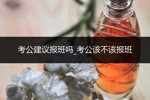 考公建议报班吗_考公该不该报班