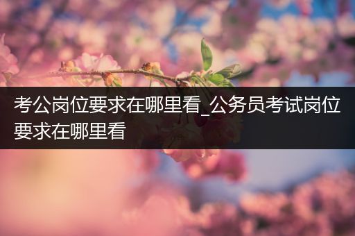 考公岗位要求在哪里看_公务员考试岗位要求在哪里看