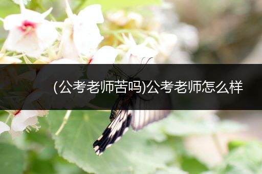 （公考老师苦吗)公考老师怎么样