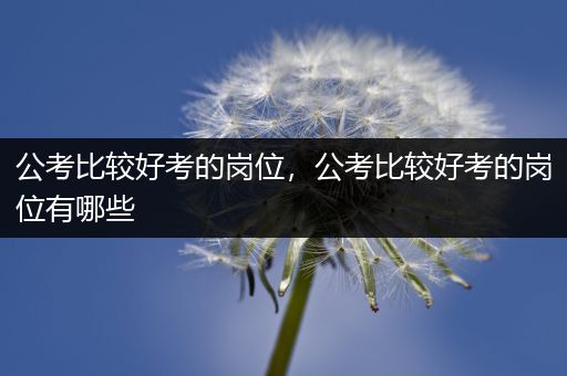 公考比较好考的岗位，公考比较好考的岗位有哪些