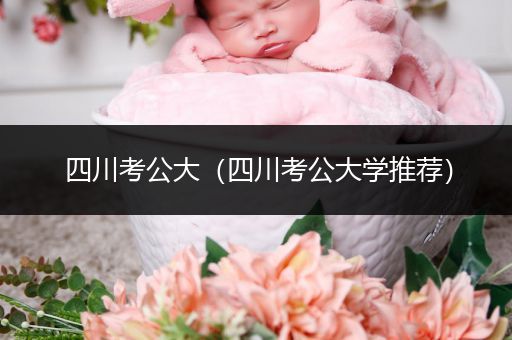 四川考公大（四川考公大学推荐）