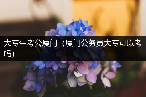 大专生考公厦门（厦门公务员大专可以考吗）