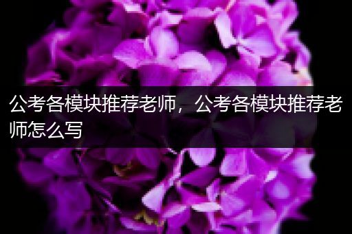 公考各模块推荐老师，公考各模块推荐老师怎么写