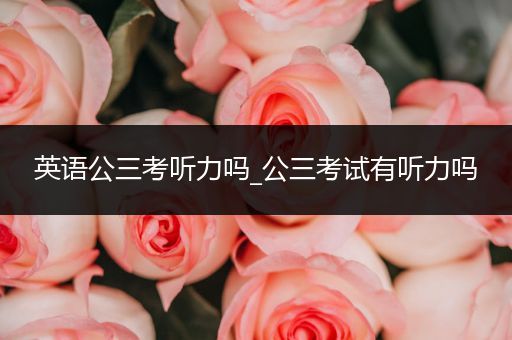 英语公三考听力吗_公三考试有听力吗