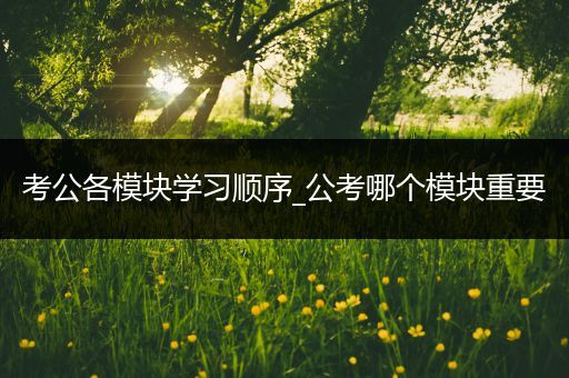 考公各模块学习顺序_公考哪个模块重要