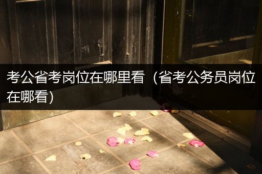考公省考岗位在哪里看（省考公务员岗位在哪看）