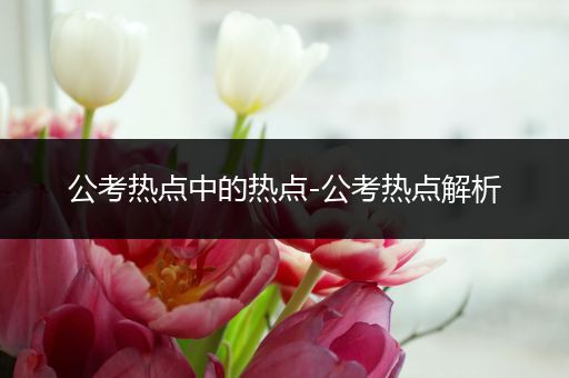 公考热点中的热点-公考热点解析