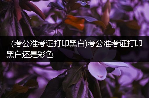 （考公准考证打印黑白)考公准考证打印黑白还是彩色