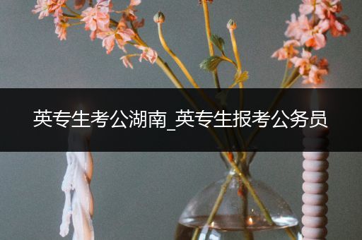 英专生考公湖南_英专生报考公务员