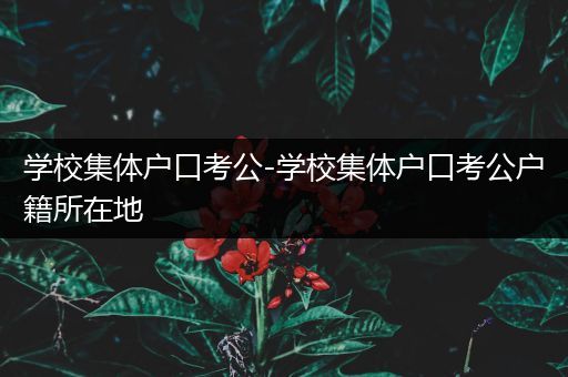 学校集体户口考公-学校集体户口考公户籍所在地