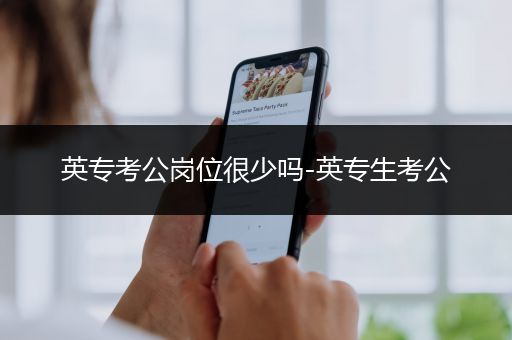 英专考公岗位很少吗-英专生考公