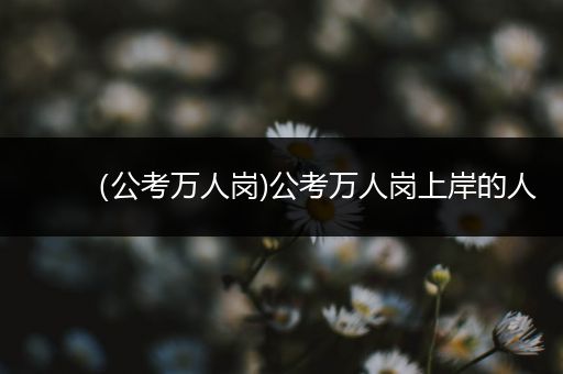 （公考万人岗)公考万人岗上岸的人