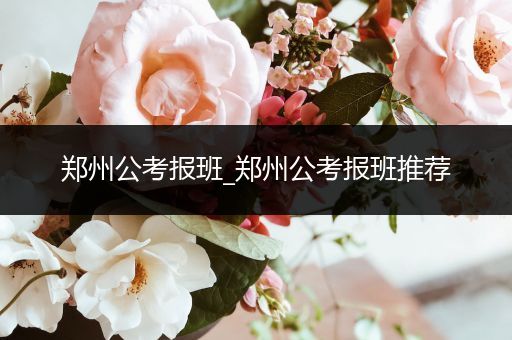 郑州公考报班_郑州公考报班推荐
