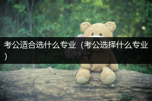 考公适合选什么专业（考公选择什么专业）