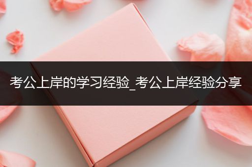 考公上岸的学习经验_考公上岸经验分享