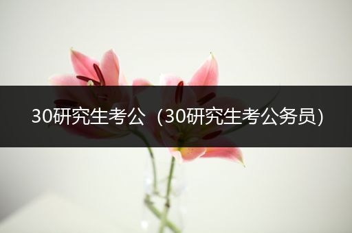 30研究生考公（30研究生考公务员）