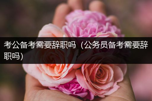 考公备考需要辞职吗（公务员备考需要辞职吗）