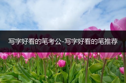 写字好看的笔考公-写字好看的笔推荐