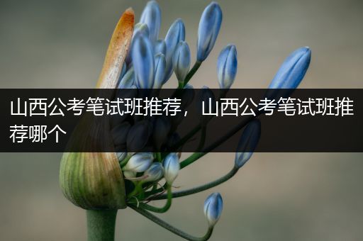 山西公考笔试班推荐，山西公考笔试班推荐哪个