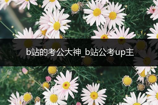 b站的考公大神_b站公考up主