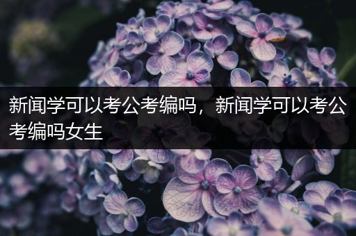 新闻学可以考公考编吗，新闻学可以考公考编吗女生