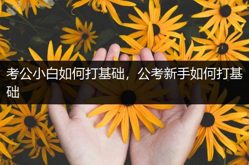 考公小白如何打基础，公考新手如何打基础