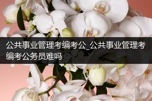 公共事业管理考编考公_公共事业管理考编考公务员难吗