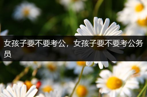 女孩子要不要考公，女孩子要不要考公务员