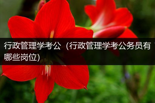 行政管理学考公（行政管理学考公务员有哪些岗位）